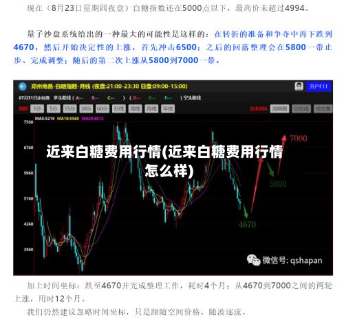 近来白糖费用行情(近来白糖费用行情怎么样)