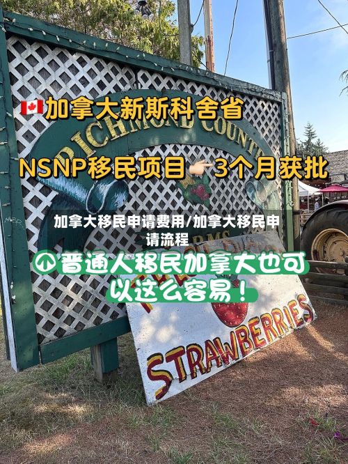 加拿大移民申请费用/加拿大移民申请流程