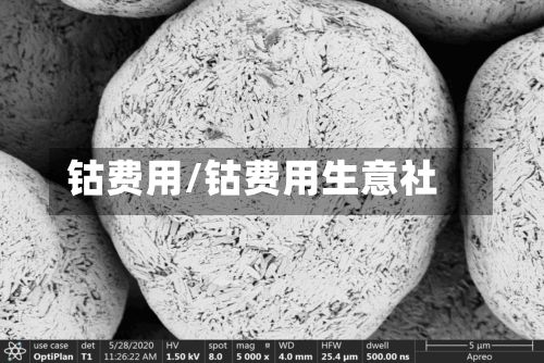 钴费用/钴费用生意社