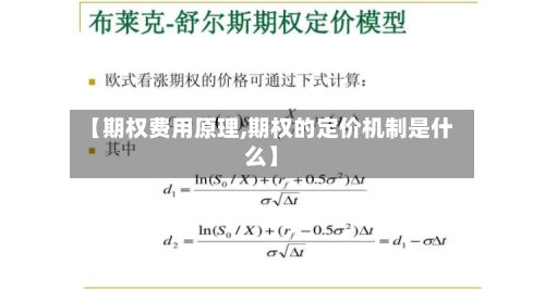 【期权费用原理,期权的定价机制是什么】-第2张图片
