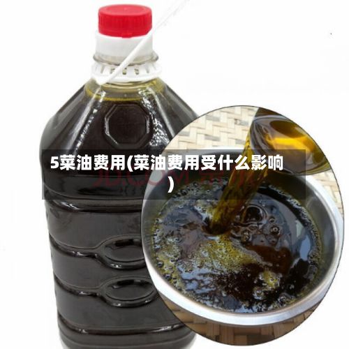 5菜油费用(菜油费用受什么影响)-第2张图片