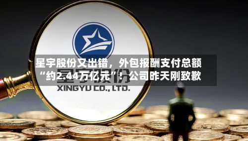 星宇股份又出错，外包报酬支付总额“约2.44万亿元”！公司昨天刚致歉-第2张图片