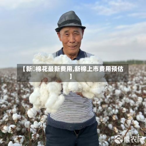 【新彊棉花最新费用,新棉上市费用预估】