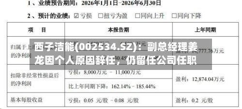 西子洁能(002534.SZ)：副总经理姜龙因个人原因辞任，仍留任公司任职