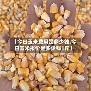 【今曰玉米费用是多少钱,今日玉米报价是多少钱1斤】-第3张图片