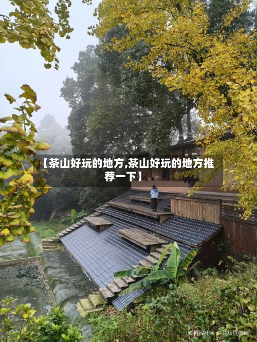 【茶山好玩的地方,茶山好玩的地方推荐一下】