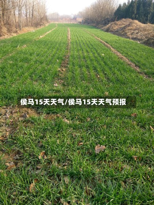 侯马15天天气/侯马15天天气预报-第3张图片