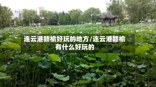 连云港赣榆好玩的地方/连云港赣榆有什么好玩的-第2张图片