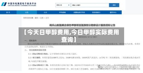 【今天日甲醇费用,今日甲醇实际费用查询】-第3张图片