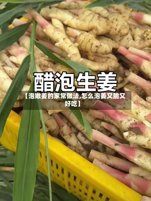 【泡嫩姜的家常做法,怎么泡姜又脆又好吃】-第3张图片