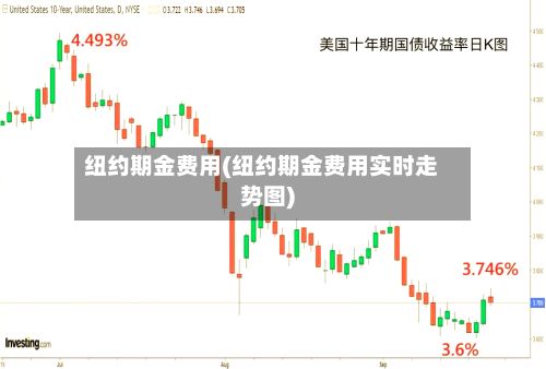 纽约期金费用(纽约期金费用实时走势图)-第3张图片