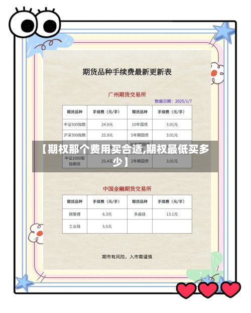 【期权那个费用买合适,期权最低买多少】