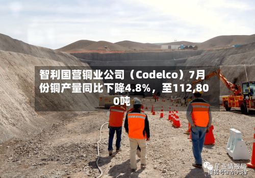 智利国营铜业公司（Codelco）7月份铜产量同比下降4.8%，至112,800吨