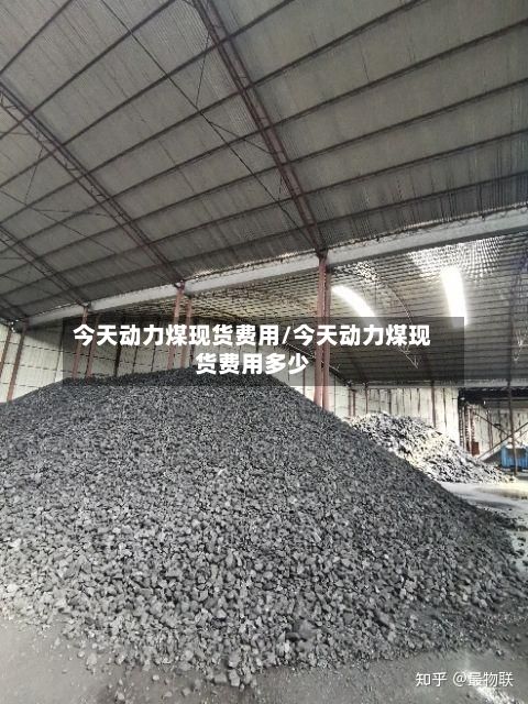 今天动力煤现货费用/今天动力煤现货费用多少-第2张图片