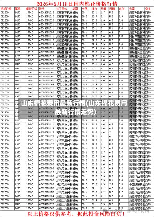 山东棉花费用最新行情(山东棉花费用最新行情走势)