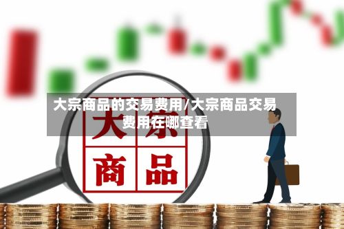 大宗商品的交易费用/大宗商品交易费用在哪查看-第3张图片