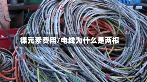 镍元素费用/电线为什么是两根-第2张图片