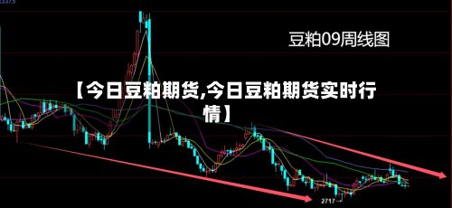 【今日豆粕期货,今日豆粕期货实时行情】