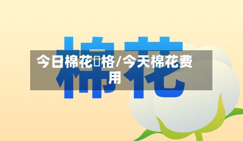 今日棉花價格/今天棉花费用