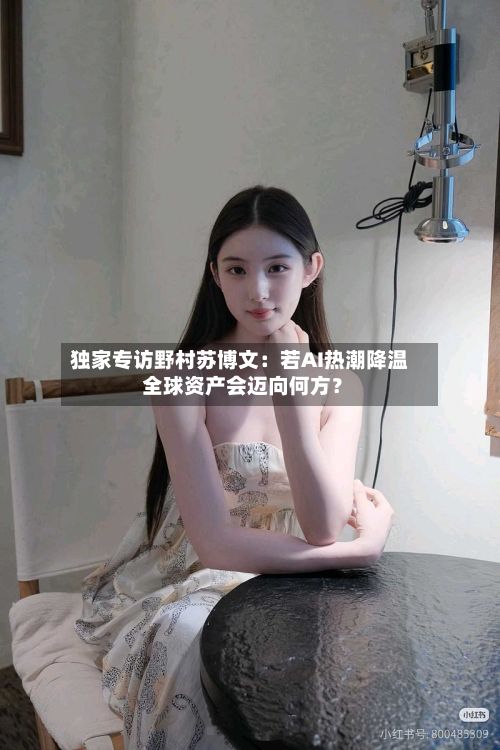 独家专访野村苏博文:若AI热潮降温 全球资产会迈向何方?-第2张图片