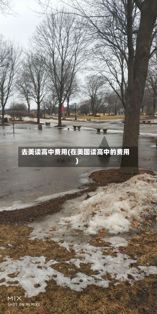 去美读高中费用(在美国读高中的费用)-第3张图片