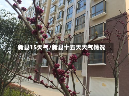 新县15天气/新县十五天天气情况-第2张图片