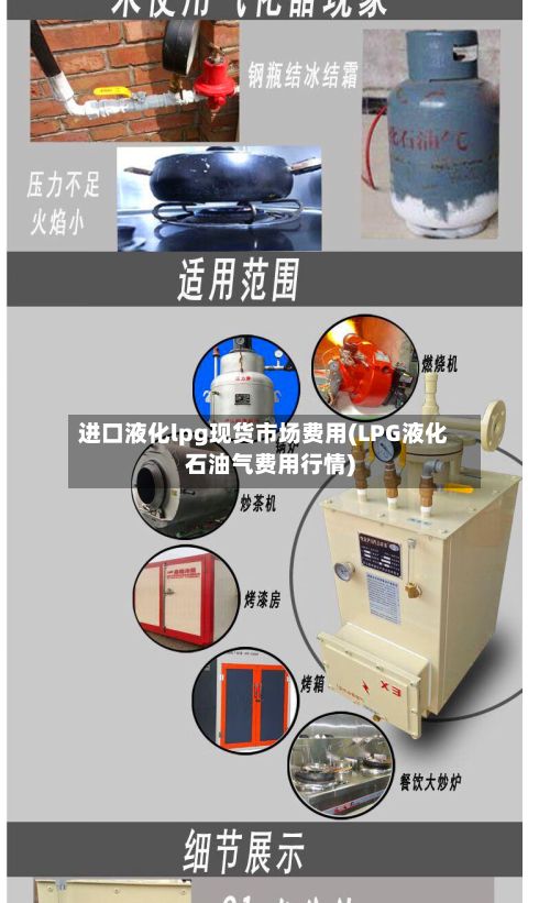 进口液化lpg现货市场费用(LPG液化石油气费用行情)-第3张图片