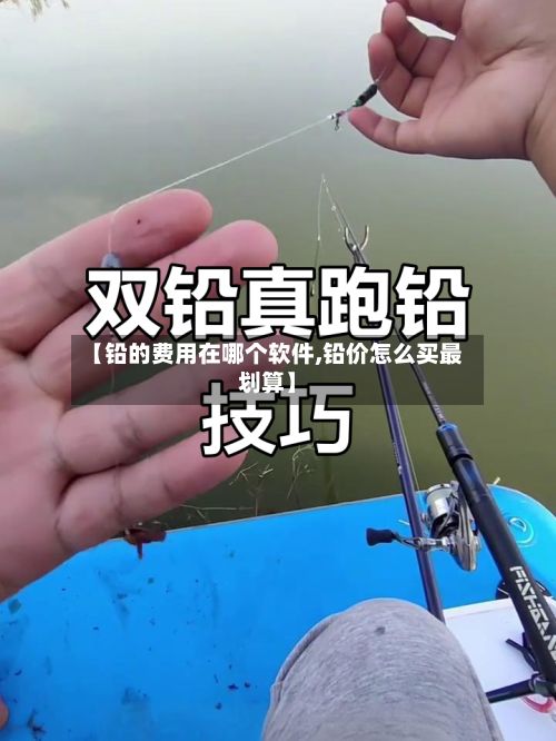 【铅的费用在哪个软件,铅价怎么买最划算】