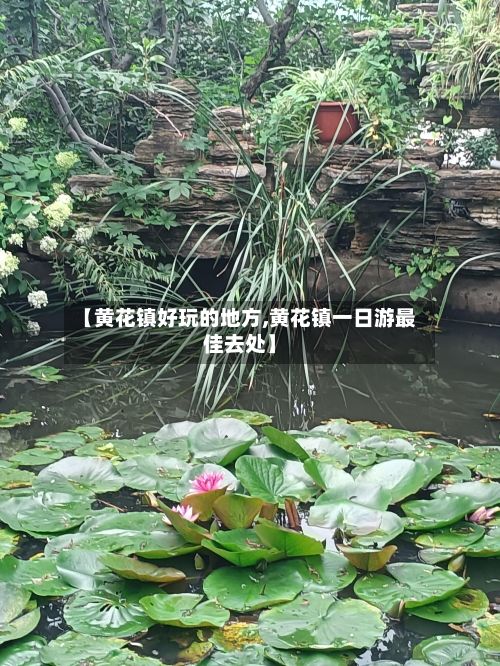 【黄花镇好玩的地方,黄花镇一日游最佳去处】-第3张图片