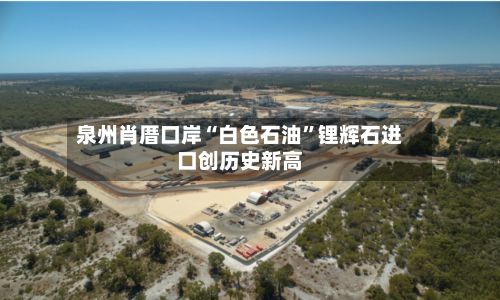 泉州肖厝口岸“白色石油”锂辉石进口创历史新高