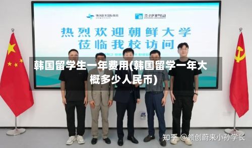 韩国留学生一年费用(韩国留学一年大概多少人民币)