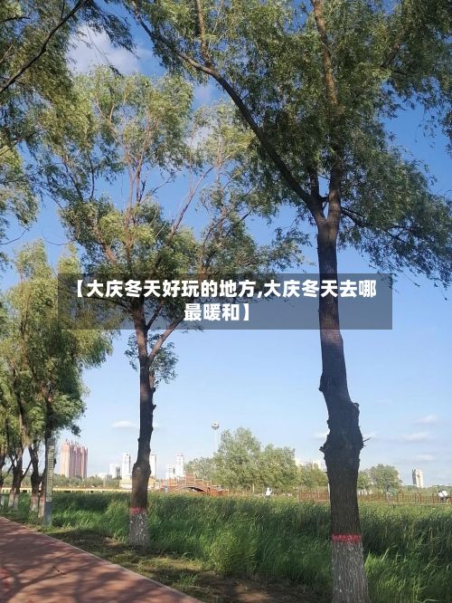 【大庆冬天好玩的地方,大庆冬天去哪最暖和】-第2张图片