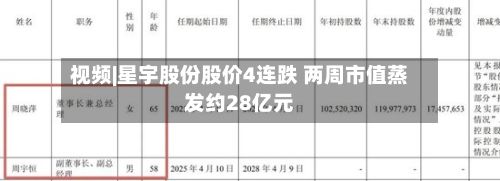 视频|星宇股份股价4连跌 两周市值蒸发约28亿元