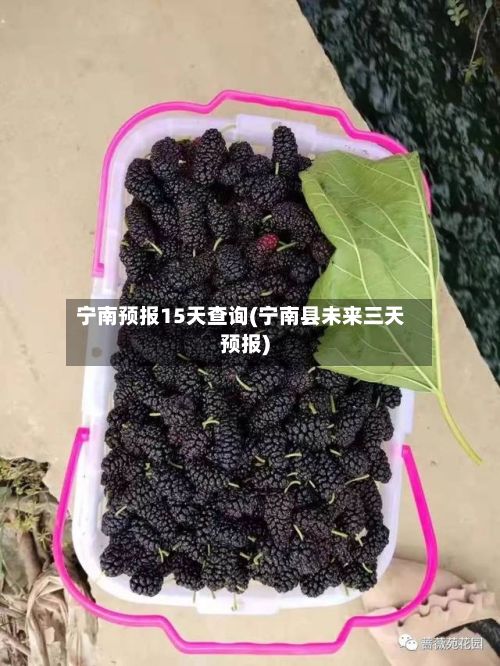宁南预报15天查询(宁南县未来三天预报)