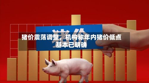 猪价震荡调整，机构称年内猪价低点基本已明确