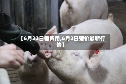 【6月22日猪费用,6月2日猪价最新行情】-第3张图片