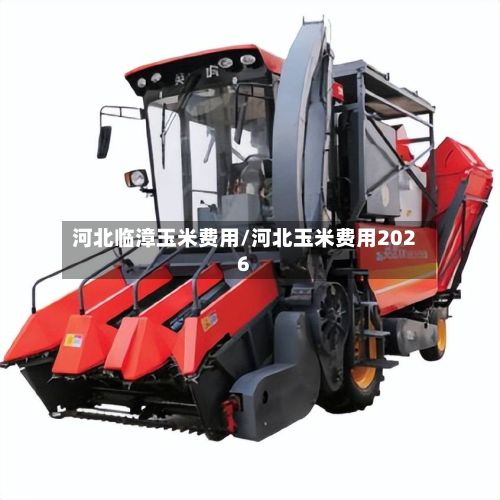 河北临漳玉米费用/河北玉米费用2026-第3张图片