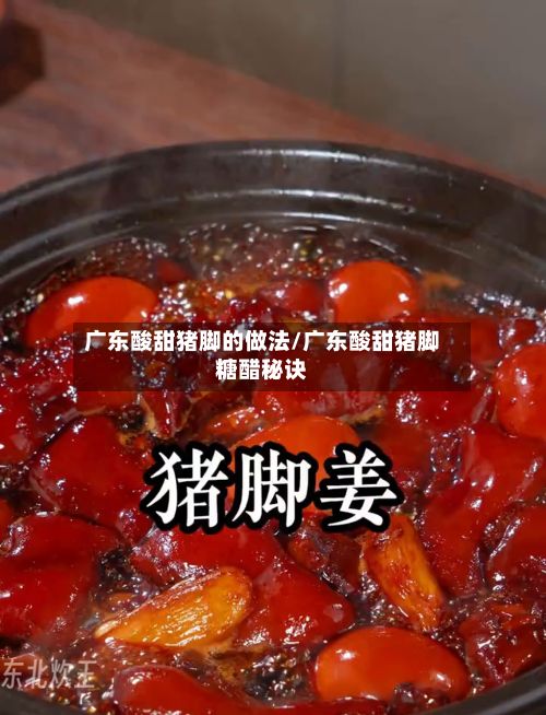 广东酸甜猪脚的做法/广东酸甜猪脚糖醋秘诀