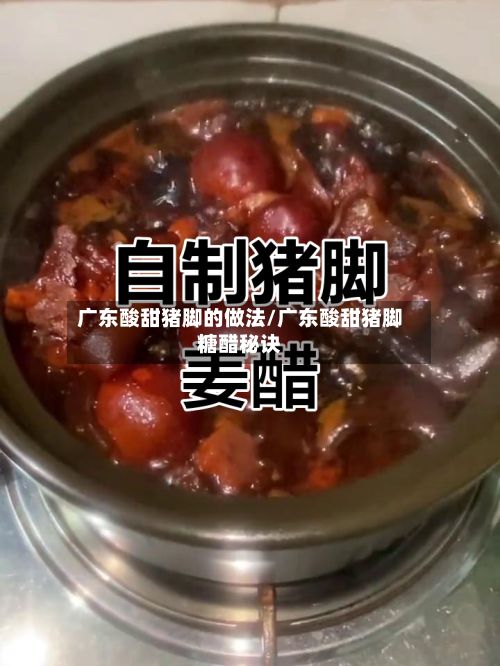 广东酸甜猪脚的做法/广东酸甜猪脚糖醋秘诀-第2张图片