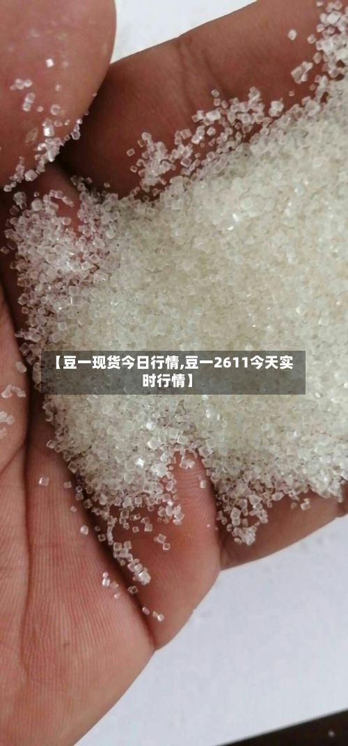 【豆一现货今日行情,豆一2611今天实时行情】