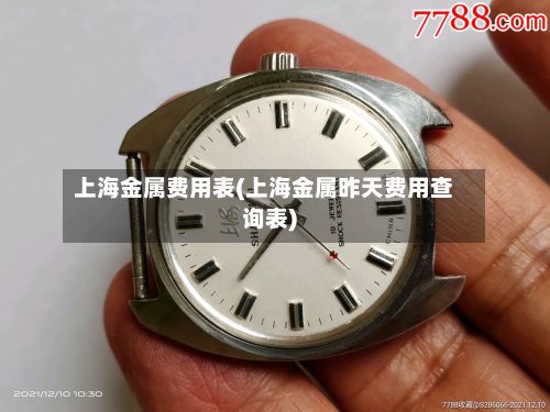 上海金属费用表(上海金属昨天费用查询表)