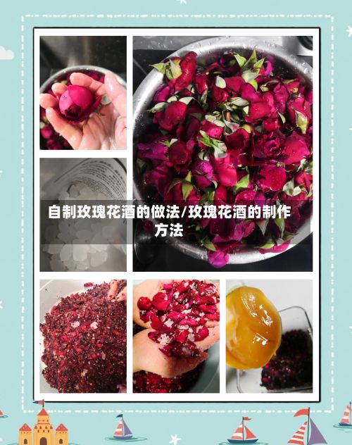 自制玫瑰花酒的做法/玫瑰花酒的制作方法-第2张图片