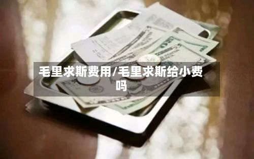 毛里求斯费用/毛里求斯给小费吗