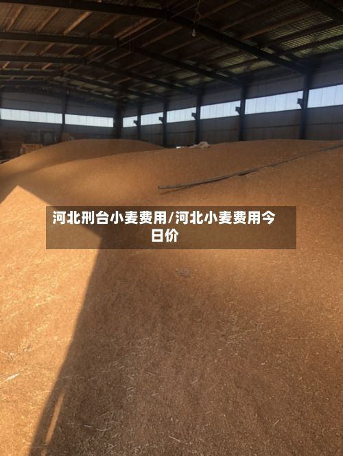 河北刑台小麦费用/河北小麦费用今日价