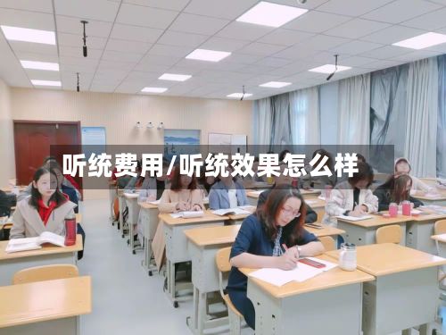 听统费用/听统效果怎么样-第2张图片