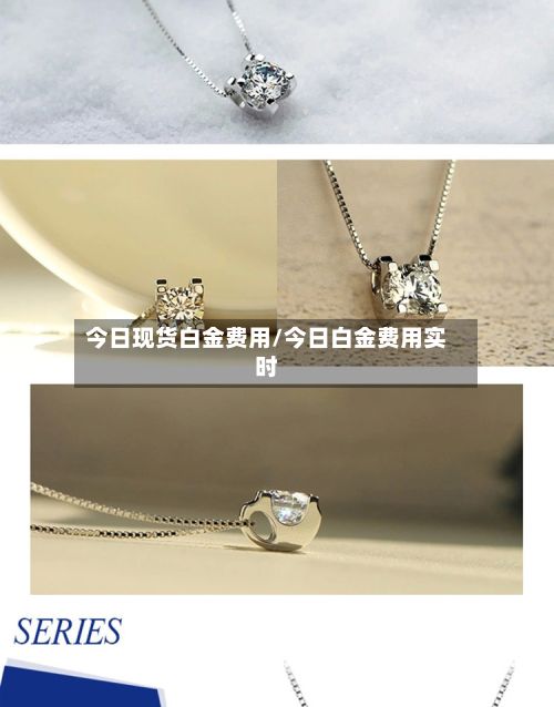 今日现货白金费用/今日白金费用实时-第3张图片