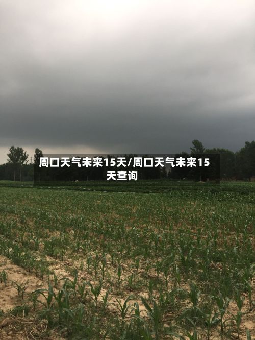 周口天气未来15天/周口天气未来15天查询-第2张图片