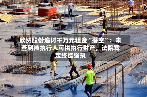 欣贺股份追讨千万元租金“落空”：未查到被执行人可供执行财产，法院裁定终结强执