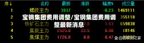 宝钢集团费用调整/宝钢集团费用调整最新消息