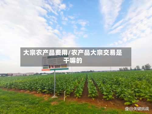 大宗农产品费用/农产品大宗交易是干嘛的-第2张图片
